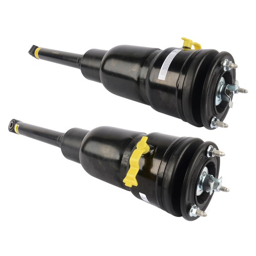 Rear air suspension shock - rear,