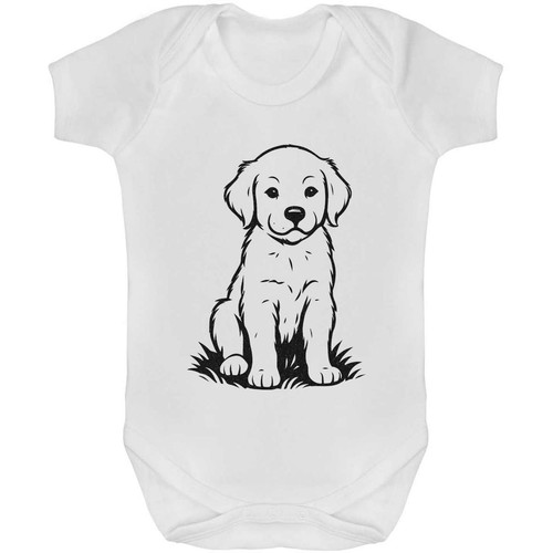 Golden retriever puppy - puppy', baby