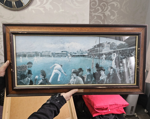 Framed cricket match - framed,