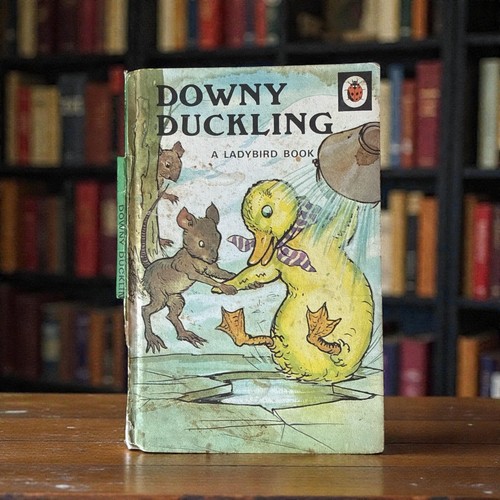 Ladybird 401 downy duckling - ladybird,