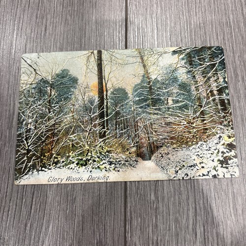 Antique glory woods dorking - antique,