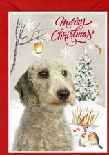 Bedlington Terrier Dog A6 (4"x