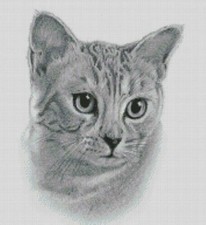 Cross Stitch Chart, Pattern