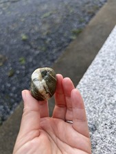 Lovely Handpicked Rare Irish