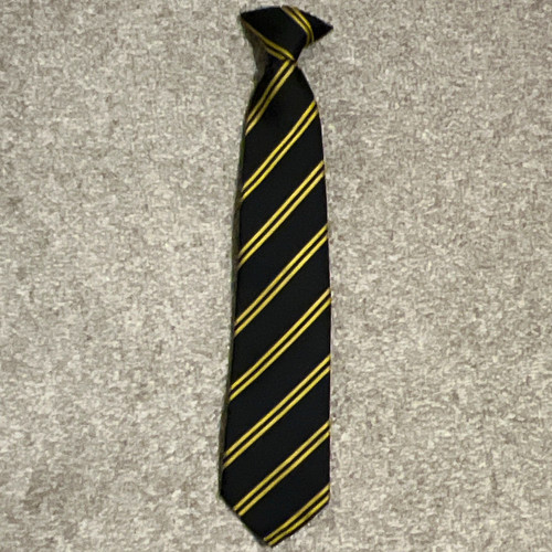Holywell school cranfield tie - school,
