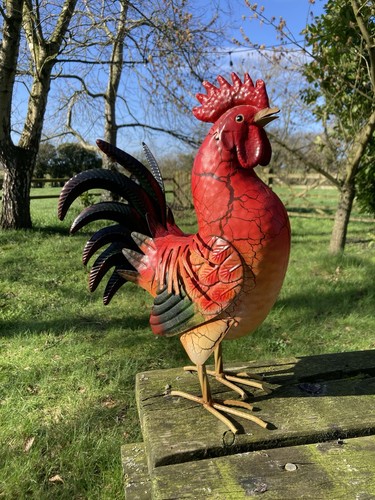 Red coloured metal cockerel - coloured, /