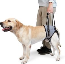 Dotoner Dog Lifting Support Harness Rear Legs, Pet Sling Adjustable Mobility - M