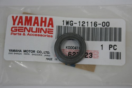 Small plate spring valve