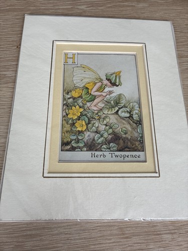 Cicely mary barker - 🧚,