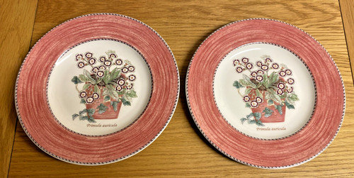 Wedgwood sarah s - **, garden