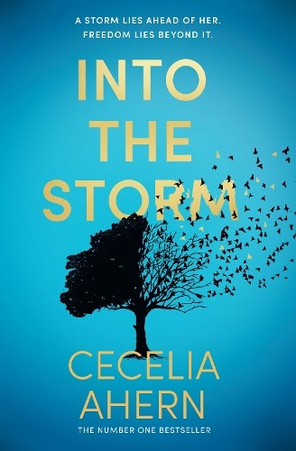 Into the storm - into, storm: