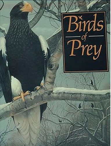 Birds prey the world - of,