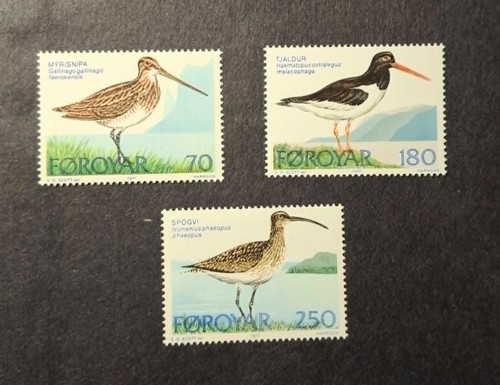 Faroe islands 1977 birds - islands,