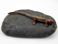 Basking Rock Vivarium Small Flat Stone Ornament Lizard Gecko Spider #C