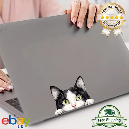 Peeking cat vinyl sticker cute - peeking,