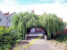 Photo 12x8 Willow arch at