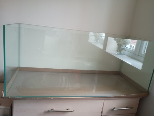 Glass aquarium fish - aquarium,