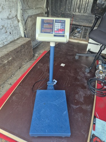 Steinberg platform scale - platform,