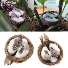 Craft Nature Bird Nest