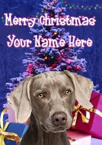 Weimaraner dog merry christmas - dog,