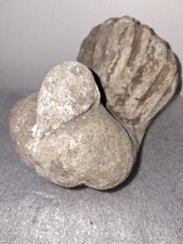 Vintage Carved Stone/ Casting Garden Weathered Dove 60 Plus Year Old. Zmm18