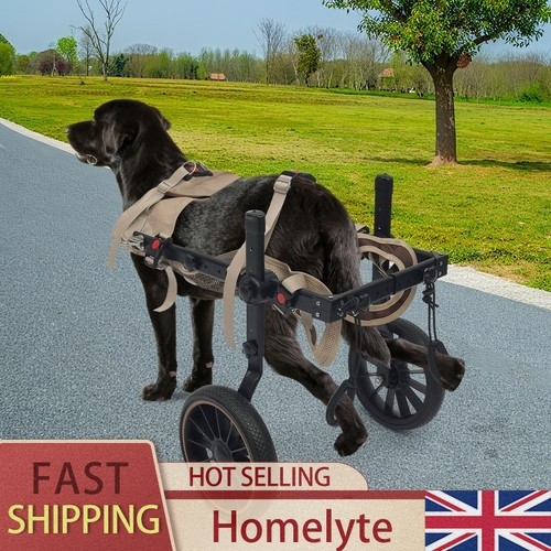 Pet rehabilitation walking - xl,