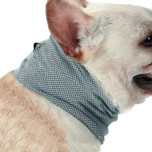 Mypets dog puppy bandana - dog, &