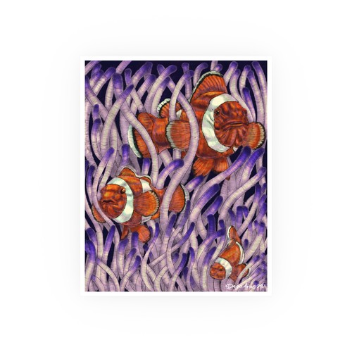 Clownfish illustration posters - clownfish,