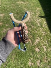 Gypsy Catapult