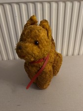 Vintage teddy dog - teddy, 1950/60s