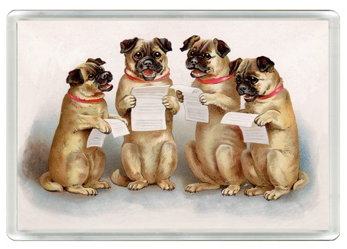 Pug dog fridge magnet - pug,