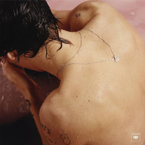 Harry styles - harry,