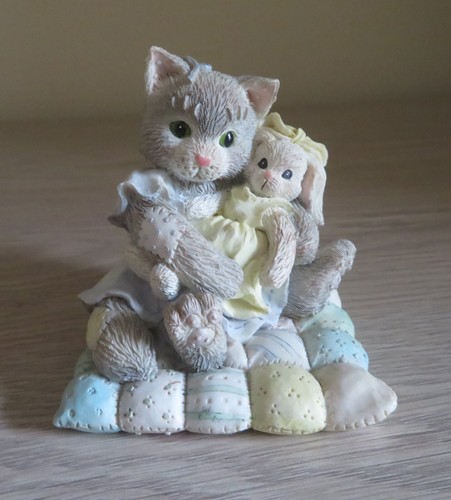 Calico kittens you - calico, you're