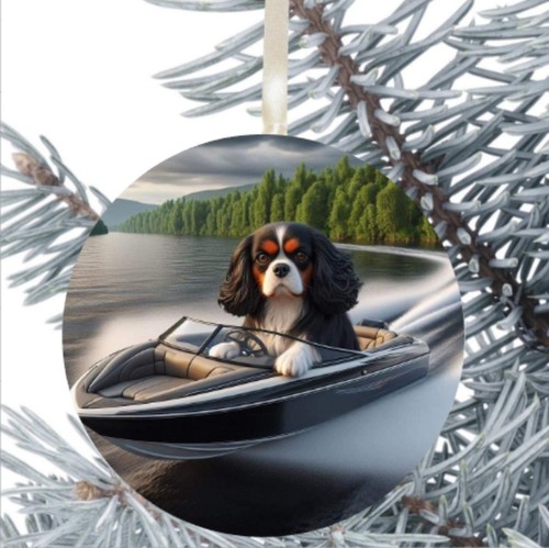 King charles cavalier spaniel - king,