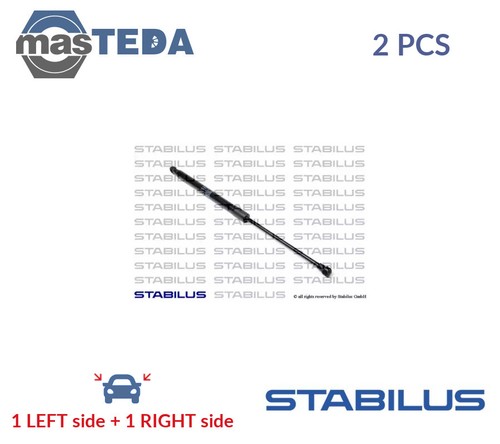 117117 tailgate boot struts - tailgate,