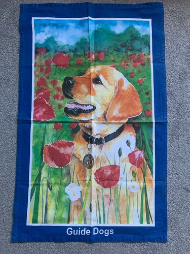 Golden labrador tea towel - labrador,