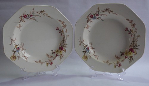 Two large rimmed bowls