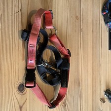 Medium Halti Dog Harness - Some Wear But All Clips Function And Undamaged.