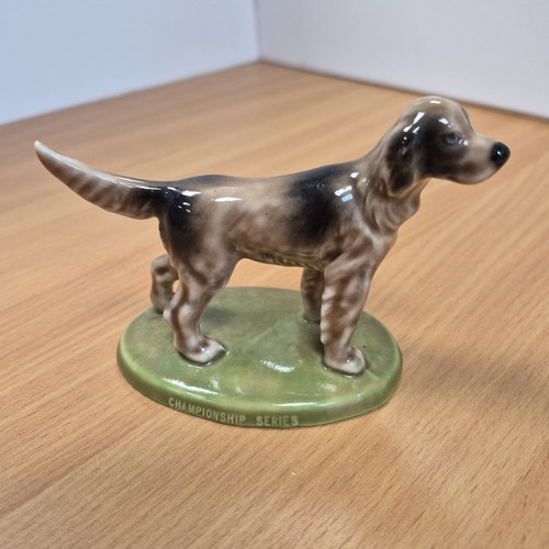 Wade dog championship series - wade,