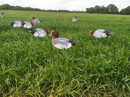 Wigeon silhouette decoys x12 - decoys,