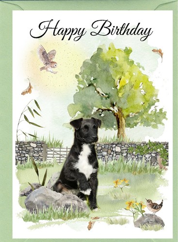 Patterdale terrier dog x - dog, (4"x
