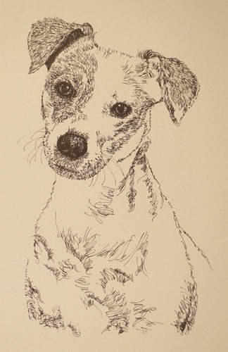 Jack russell terrier - russell, print