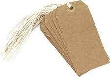 Tie on Luggage Label Tags