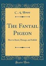 The Fantail Pigeon: How to