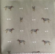 Sophie Allport Border Terrier