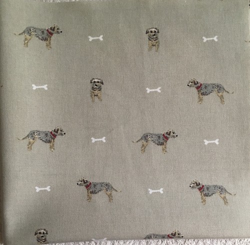 Sophie allport border terrier - allport,