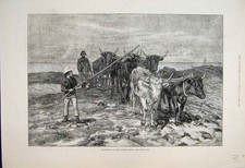 Original Old Antique Print