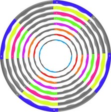 PROFESSIONAL HULA HOOP