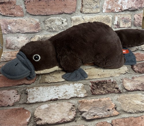 Wild republic duck billed - wild,