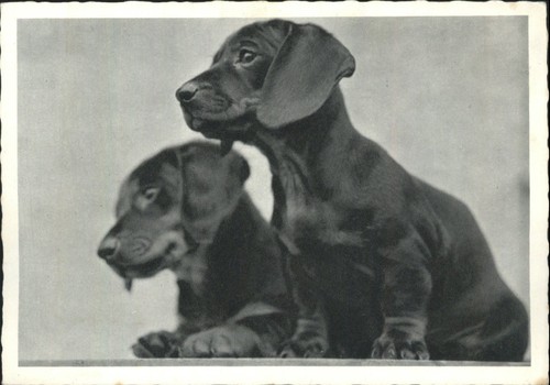 Vintage printed germany - vintage,